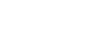 STPI Logo